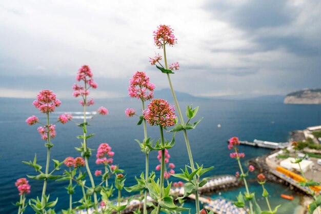 View of the Tyrrhenian sea coast in Sorrento Italy