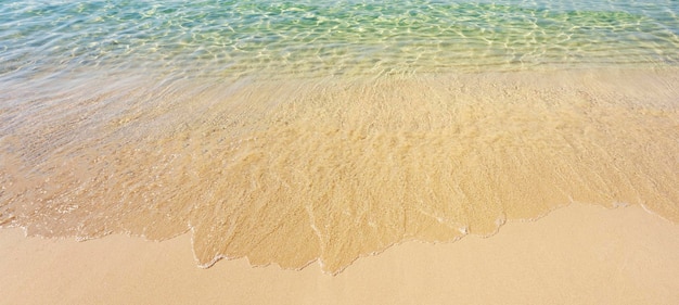 View of wave on the beach