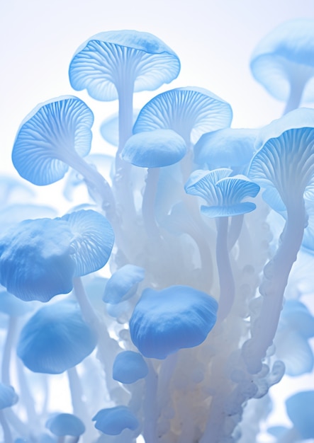 View of white and blue mushrooms