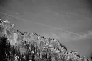 Free photo views of the mountain in black and white