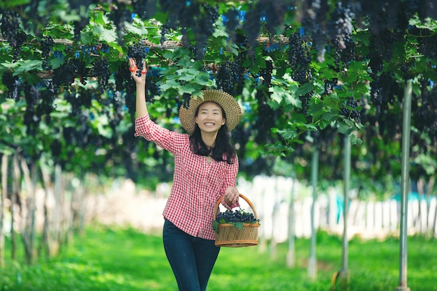 Vineyard farmers who smile and enjoy the harvest.