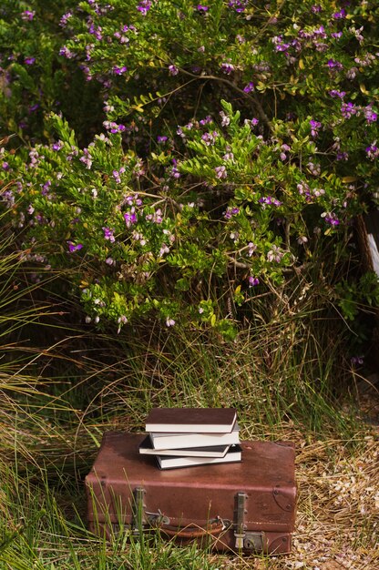 Free photo vintage suitcase with books on top