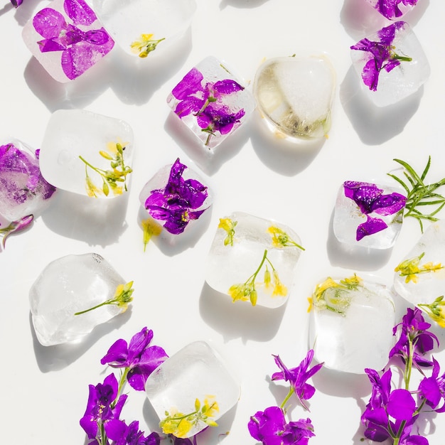 Free Photo violet and yellow flowers in ice cubes