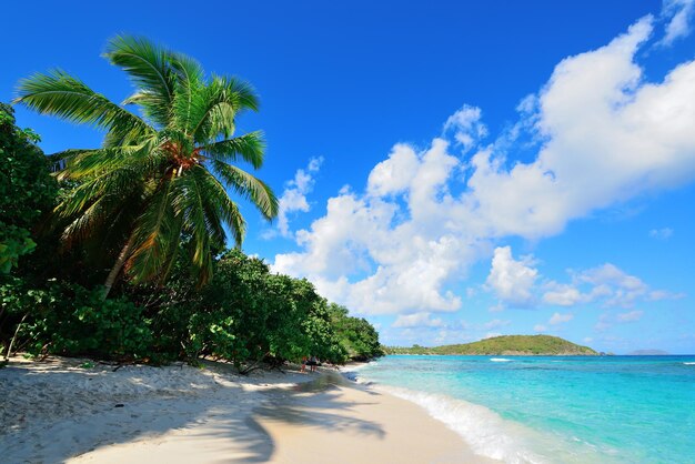 Virgin Islands Beach