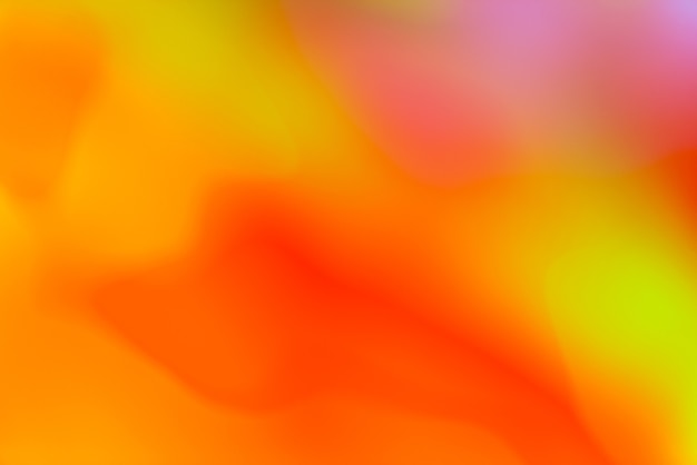 Free Photo vivid blurred colorful wallpaper background