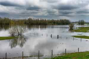 Free photo the waal river bed in winter on a overcast day