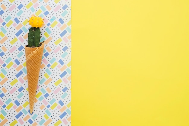 Free Photo waffle cone with pretty cactus