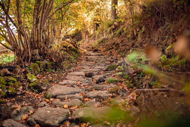 Walk of the Roman road from Barcena de Pie de Concha to Pesquera, in Cantabria.