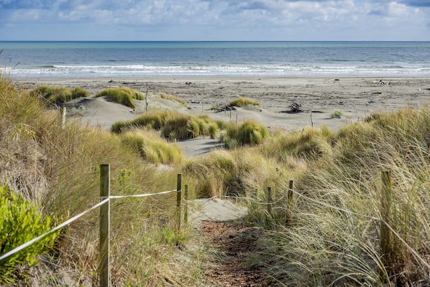 Free photo walking area in front of the waikawa  beach in new zealand