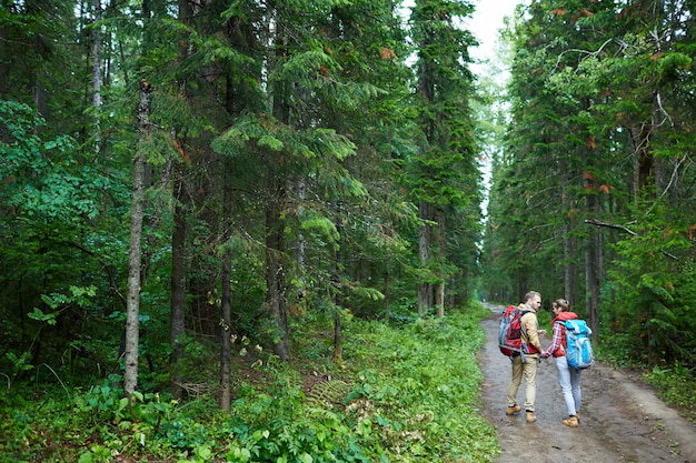 Walking in forest