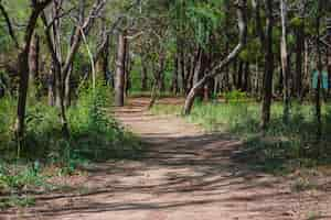 Free photo walking leaf estate trekking coppice country