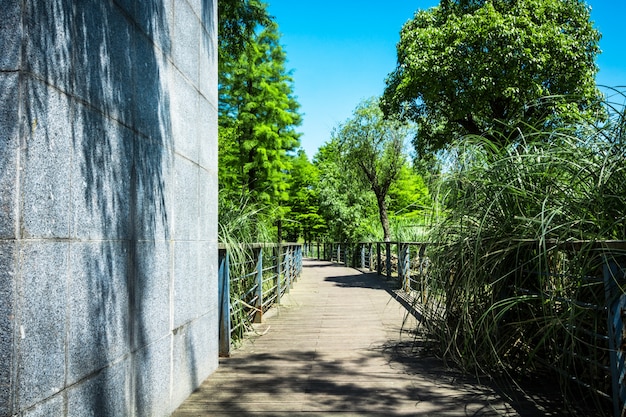 walkway in garden at bangkok,Thailand