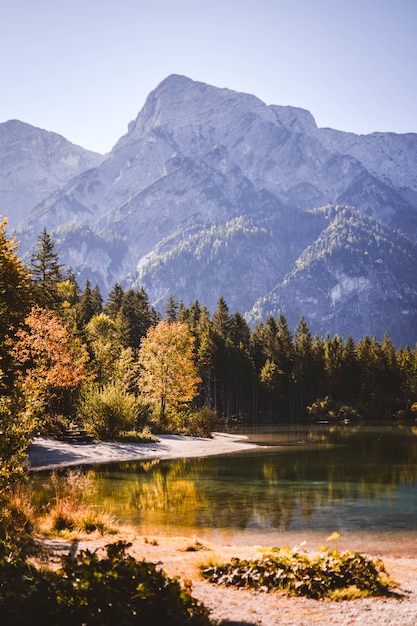 Warm scenery of a lake surrounded by forest and mountains on a bright autumn day