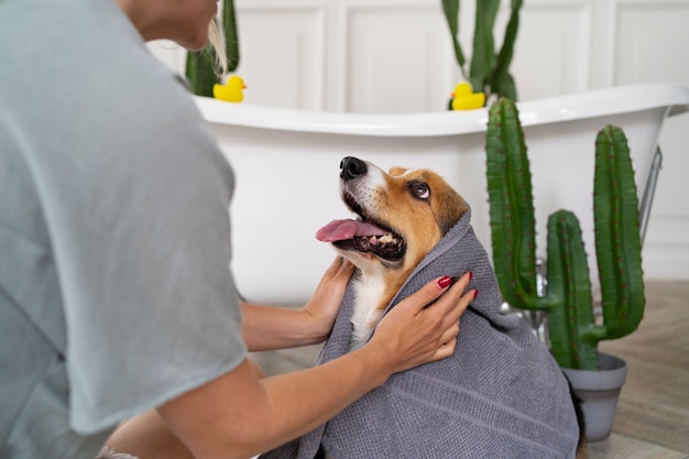 Free Photo washing pet dog at home