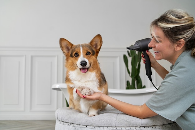 Washing pet dog at home