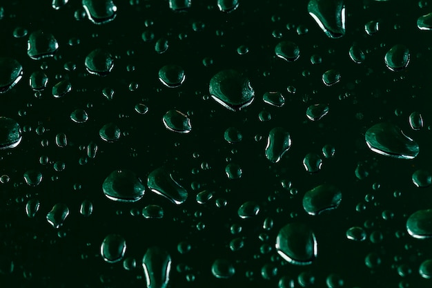 Free photo water condensing on green background