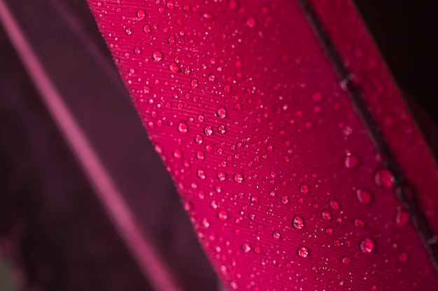 Free photo water droplets on the pink feather surface