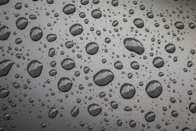 Free Photo water drops on black blackground .