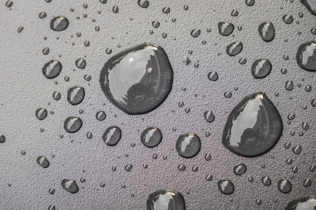 Water drops on black blackground .