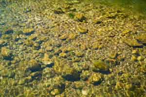 Free photo water of a river with stones