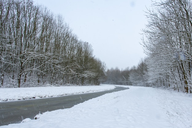 Free photo water stream in the middle of snowy fields with trees covered in snow