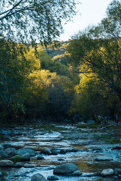 Free photo water stream running in beautiful autumn landscape