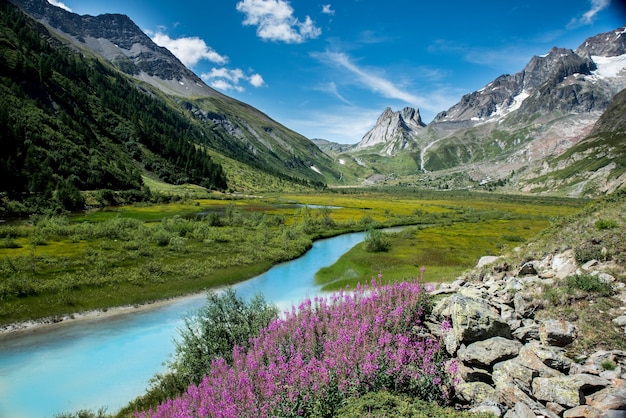 Water stream surrounded by mountains and flowers on a sunny day