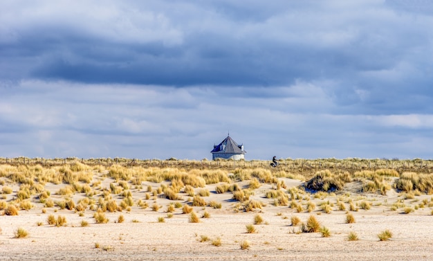 Free photo water tower in the dunes of the hague