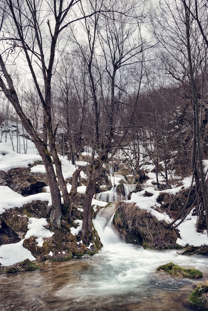 Free photo waterfall gostilje, zlatibor, serbia at winter.