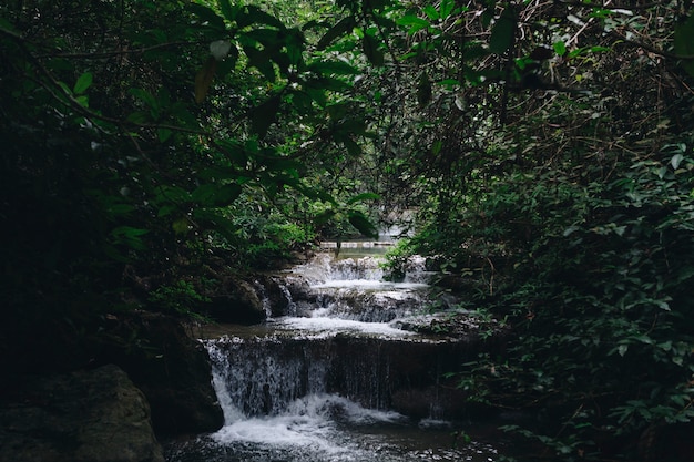 Waterfall landscape