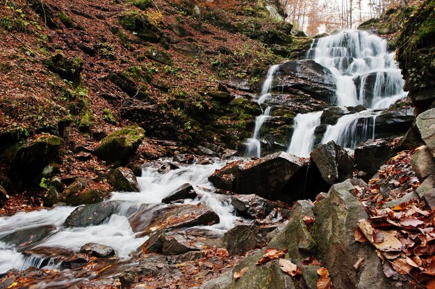 Waterfall Shypit on Borzhava Pylypets village on Carpathian mountains Ukraine Europe Amazing waterfall of world in autumn forest Beauty of world