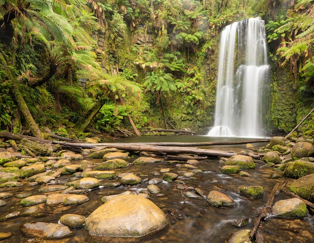 Free Photo waterfall surrounded by greenery and rocks under the sunlight in a forest