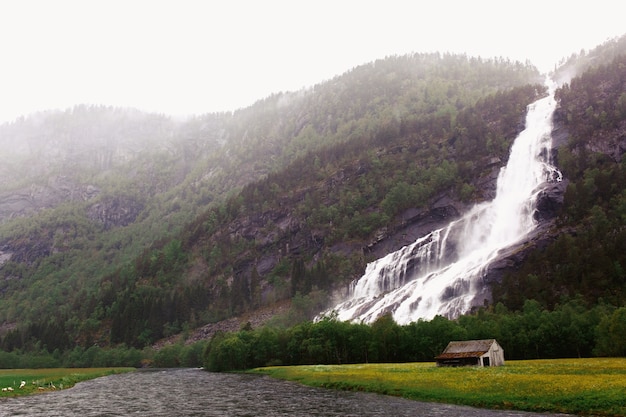 Free photo waterfall on the tall rock