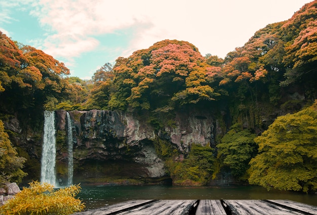 Free Photo waterfall with trees around