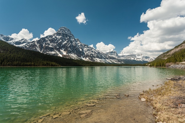 Waterfowl Lakes in the Rocky Mountains