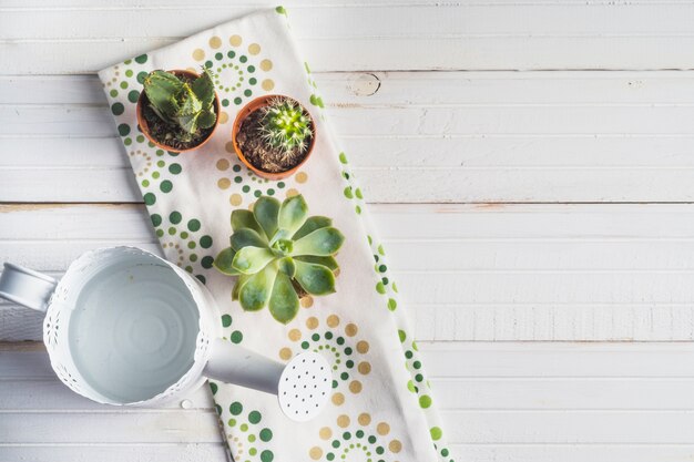 Free photo watering can and plants in pot over the napkin on the wooden table