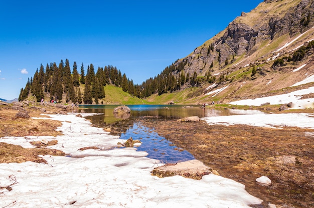 Waters of the lake Lac Lioson surrounded by trees and mountains in Switzerland