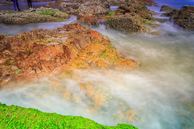 wave panorama water trees travel ocean