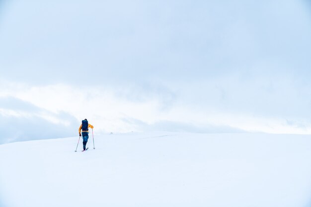 We went for a little day tour around Mullfjället.