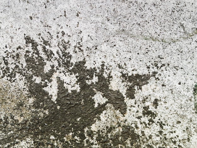 Free photo weathered concrete wall texture with black lichen