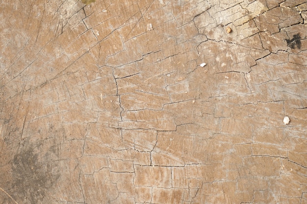 Free photo weathered wooden texture