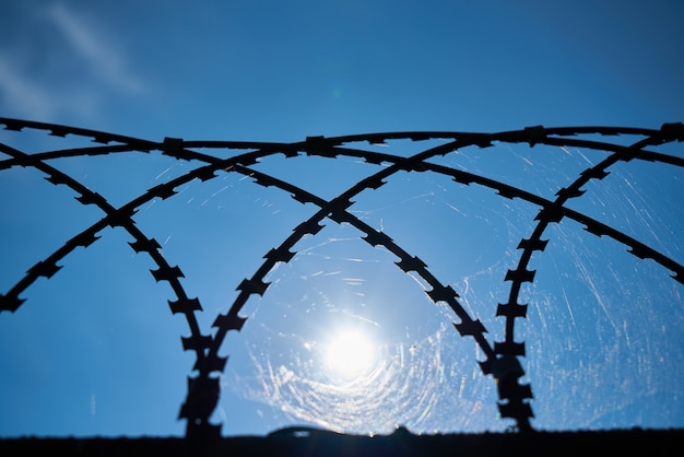 Web in a metal grille