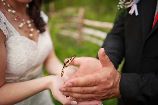 Free photo wedding couple in hands butterfly