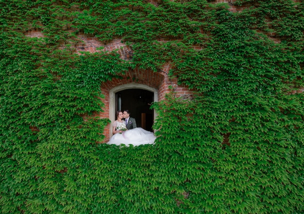 Free photo wedding couple is kissing in the window hole of a wall covered with green leaves