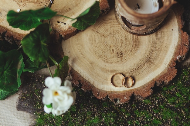 Free photo wedding golden rings on the stump in a green grass