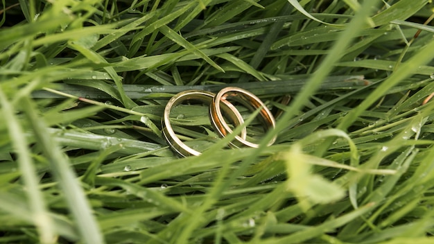 Free photo wedding rings on grass