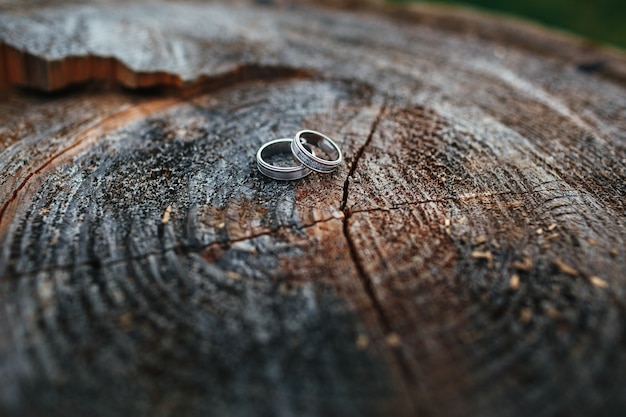 Free Photo wedding rings lie on a wooden block