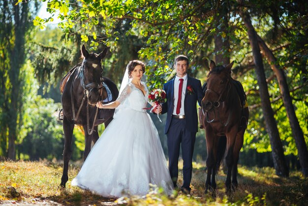 Wedding walk on nature with horses