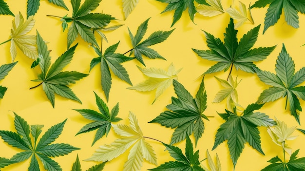 Weed leaves pattern