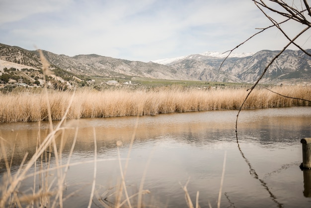 Wetlands with marsh vegetation in Mammoth route in Padul, Granada, Andalusia, Spain